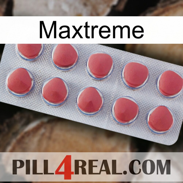 Maxtreme 18.jpg